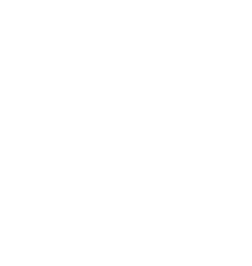 POS Terminal
